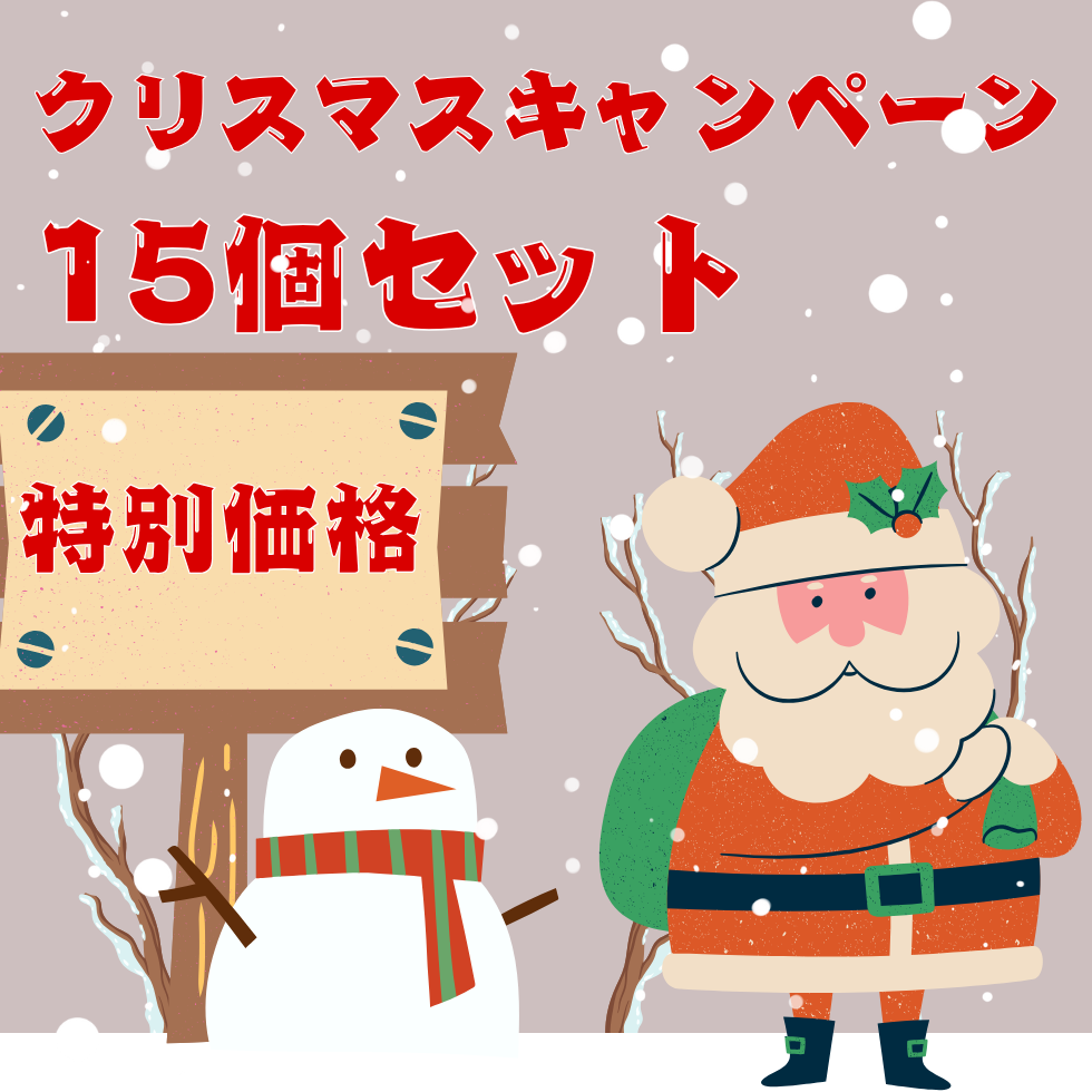 【クリスマスキャンペーン】特別価格15個セット